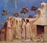 GIOTTO di Bondone Joachim Takes Refuge in the Wilderness painting